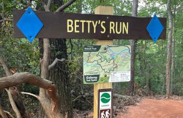 New Luxury 4 bedroom Mountain View Home w/hot tub! - Foto 42