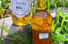 Fewo VOR DEM BERG Bergstraße 21 - Foto 23