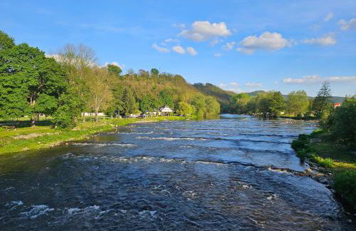 Apartments am Saalebogen mit Gartenterrasse, Grillkamin und freie Parkplätze - Foto 51