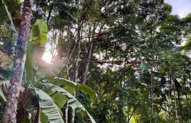 Morada do pôr do sol - Foto 23