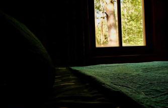 Dom z linią brzegową Narwi - Photo 13