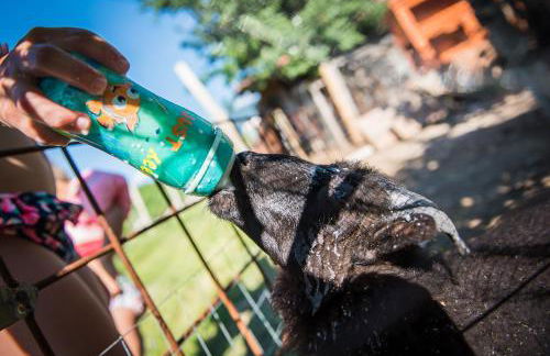 Lochererhof - Foto 36