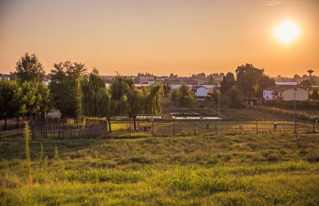 Agriturismo Tre Rondini - Foto 43