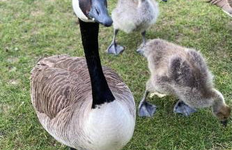 Waterside Lodges Cambridge - Foto 65