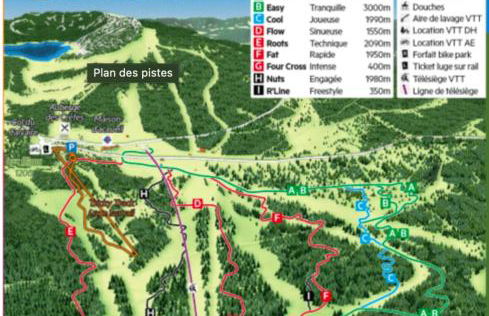 Cocon au cœur des Vosges - Foto 30