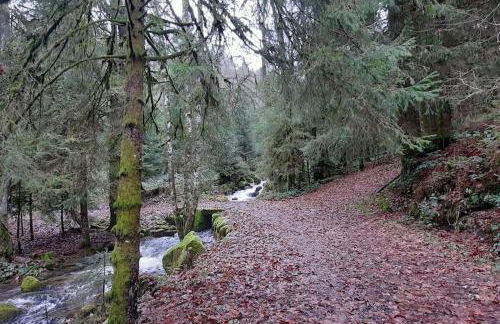 plain-pied proche base de loisirs et voie verte - Foto 32