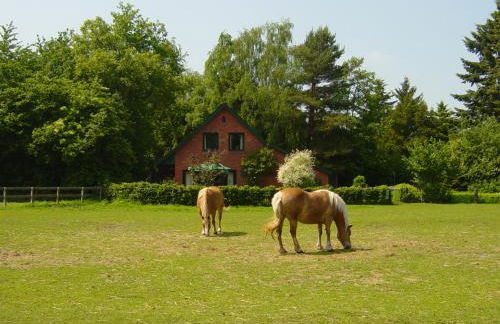 Bernard Meyborg - Foto 2