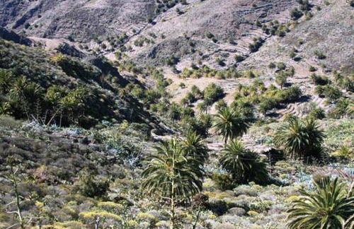 Casa Askanova - Foto 46