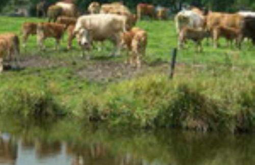Ferienhof "Karl" - Foto 17