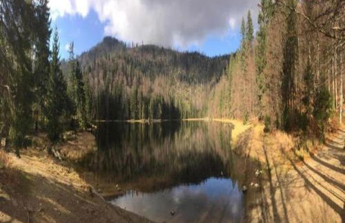 Ferienhaus in Rinchnach am Arbersee - Foto 24