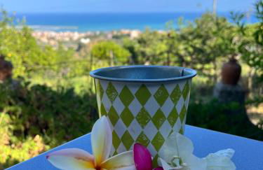 Giardino di Sicilia - Foto 3