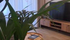 Apartament Stary Tartak - Foto 5