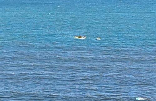 frente para o mar águas cristalinas - Foto 38