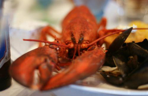 Cape Escape Chatham 5 Star Beach Chic 5 Min Walk to Beach-Newly Renovated Private Retreat AC - Foto 44