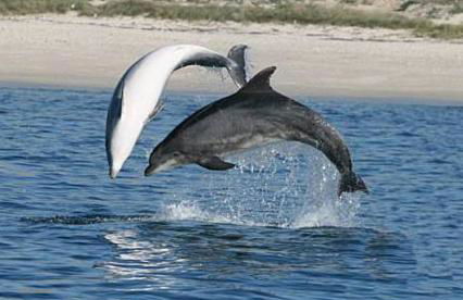 Casa Independiente Bella Vista - Foto 27