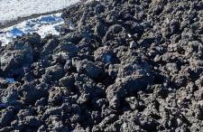 Villa in affitto - Photo 10