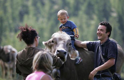Agriturismo Stella Orobica - Foto 27