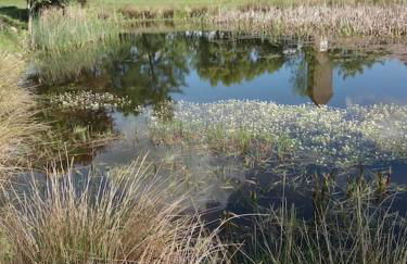 Neue moderne Wohnung in der Natur - Peter's View - Foto 16