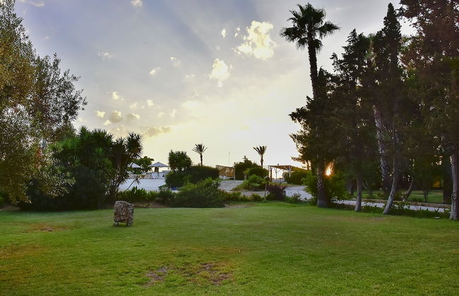 Tenuta Terenzano - Photo 22