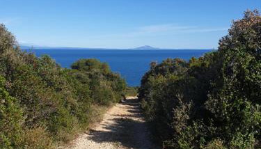 villa flores - Foto 4