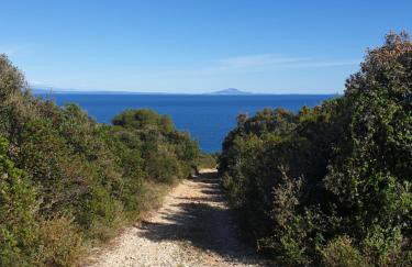 villa flores - Foto 4