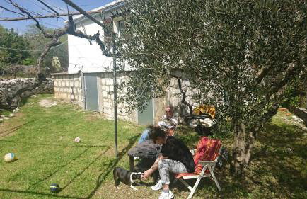 Nike house - Foto 12