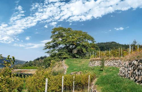 Steindlgut - Weinberg Chalets - Foto 41