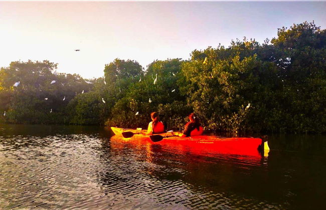 Kayak Tour of Cartagena - Photo 8