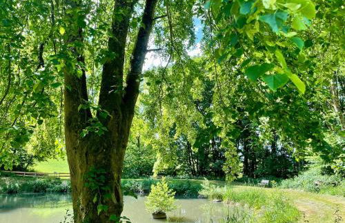 Odw homes - Wohnung im Landhaus mit Terrasse - Photo 29