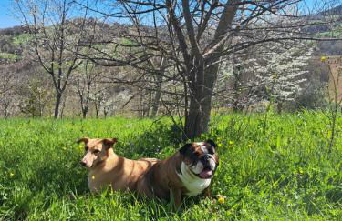 B&B Le Scintille - Foto 50