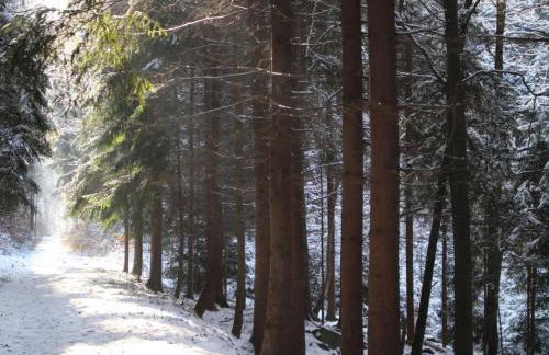 Holiday Home Jägerhaus by Interhome - Foto 26