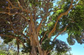 Estudio en Benalmádena - Foto 29