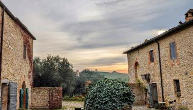 Podere Spedalone - Foto 4, Garden view