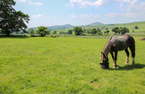 Upper Home Farm - Foto 78