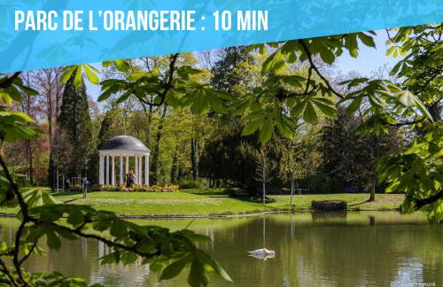 Élégance - Strasbourg - Foto 21