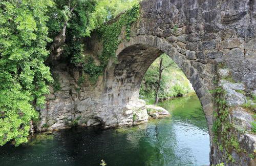 La Garzona - Foto 36