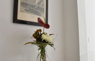 Apartmenthaus Albrechtsburg - Foto 6