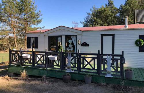 Leśna Cisza w Ładnówku 1 - Foto 1