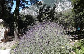 azienda agrituristica la torretta - Foto 15