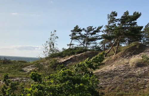 Haus Kranich App 422 - Foto 25