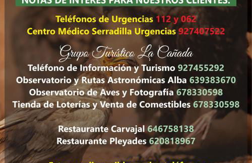 Apts la cañada birding con encanto y patio en monfrague torrejon el Rubio - Foto 22