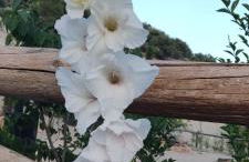 ENTRESIERRAS Apartamentos rurales con chimenea, barbacoa y espacio para eventos - Foto 29