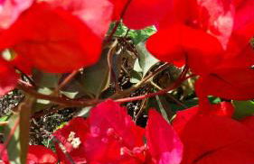 vistas a mar, en paraje natural - Foto 63