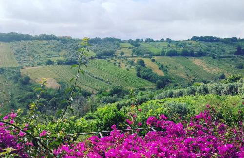 La Casa Di Stefania - Foto 29