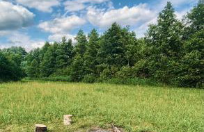 Bliska Wioska- Dom - Foto 11