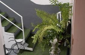 AbumaHouse - Foto 17