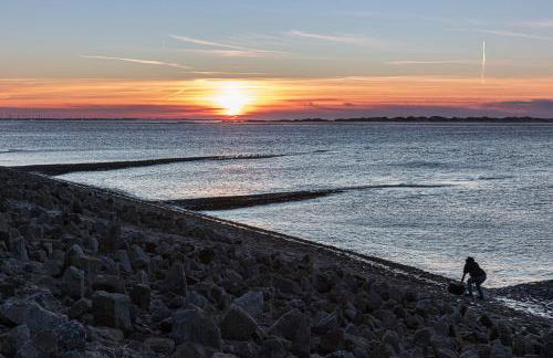 Studio mit Meerblick auf die Robbenbänke von Norderney, geschützter Südwestbalkon - Foto 24