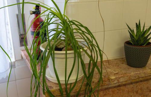 Quinta dos Pinheiros - Foto 52