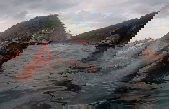 Snorkeling à São Miguel - Photo 7