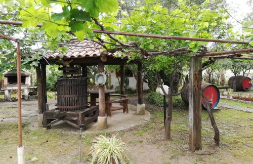 L' Agrumeto - Photo 40